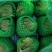 【优质】生菜精品球生菜【商超品质】一手货源