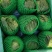 【生菜】善和圆鑫精品球生菜基地种植冷库加工品质保证