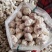 大蒜自家种植大量供应批发市场商超等质量好价格优