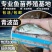 【精选推荐】优质青波清波鱼苗中华倒刺鲅鱼量大价低一手货源