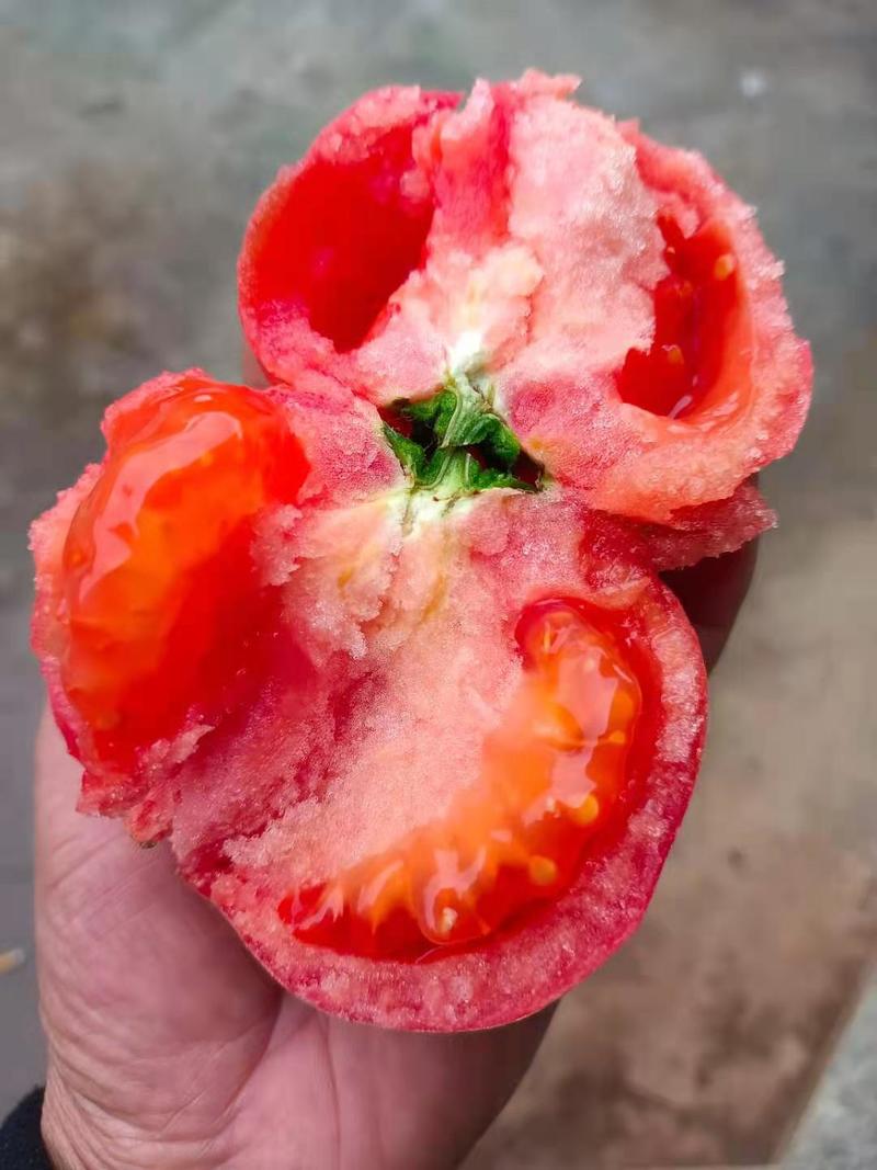 江西精品毛粉西红柿沙瓤多汁产地一手货源保质保量欢迎抢购