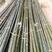 广西柳州绿竹融水杆洞竹经久耐用耐高温各种规格欢迎来电