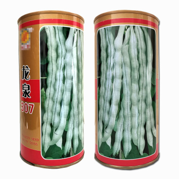 芸豆种子龙泉307芸豆种九粒白早熟抗病高产春秋芸豆豆角耔