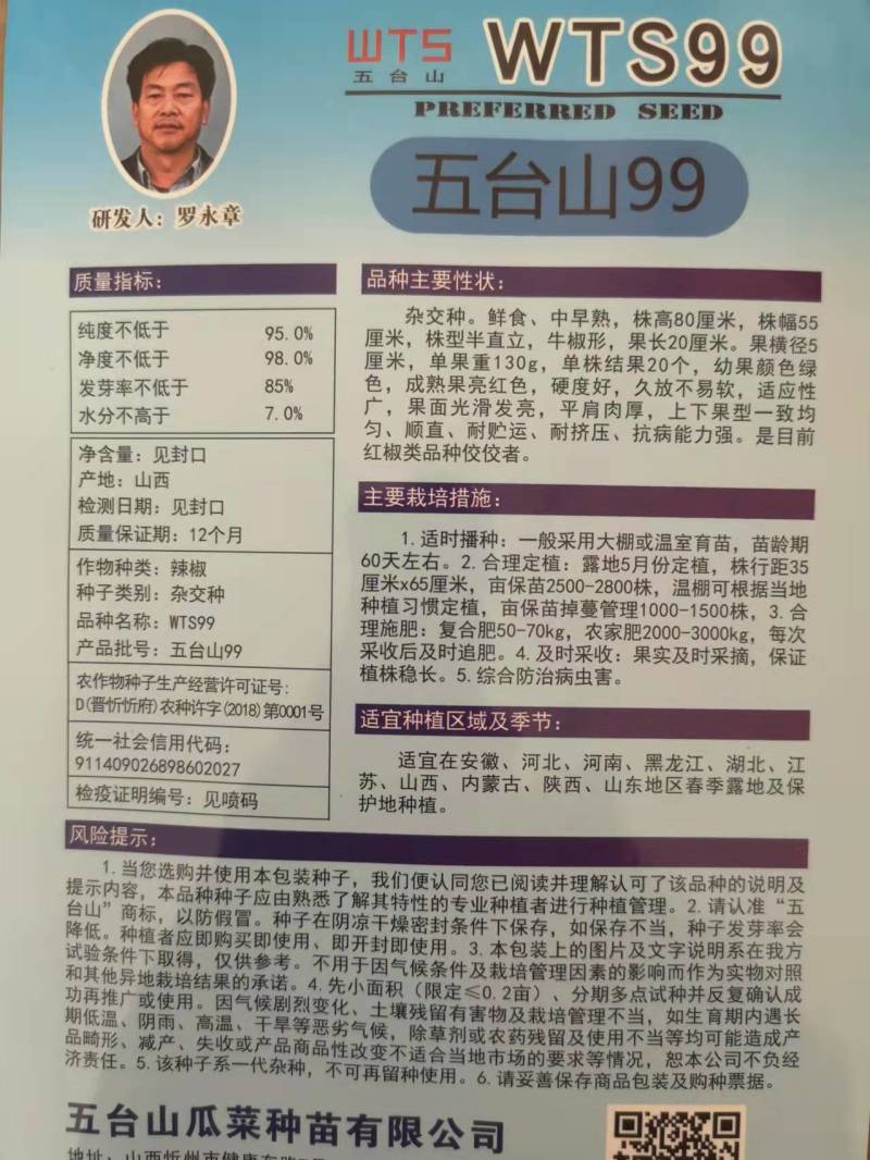 五台山99牛角椒种子辣椒种子红干椒辣椒酱剁椒种子微辣