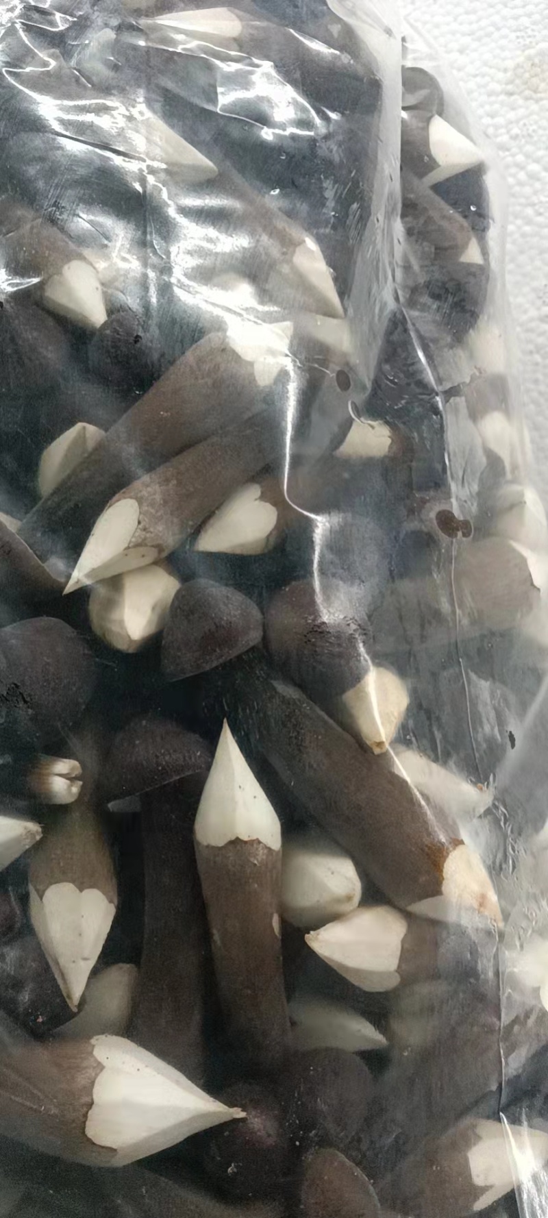 鸡枞菌黑鸡枞有一二三四级，短腿，新鲜无硬泥沙，质量杠杠