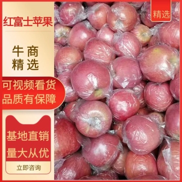 陕西膜袋红富士苹果产地脆甜可口支持一键代发全国
