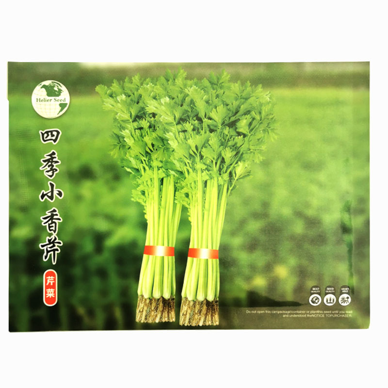 西芹种子黄玉西芹文图拉四季播种耐热耐低温抗病强高产