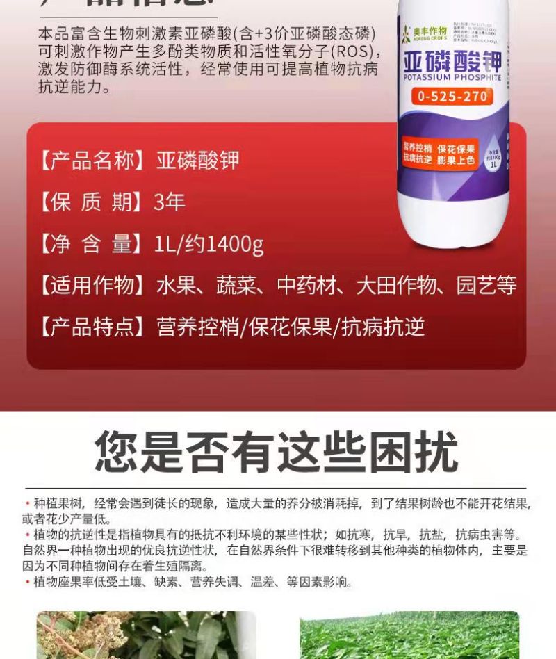 亚磷酸钾柑橘控稍控旺膨大增产抗病果树蔬菜保花保果水溶叶面