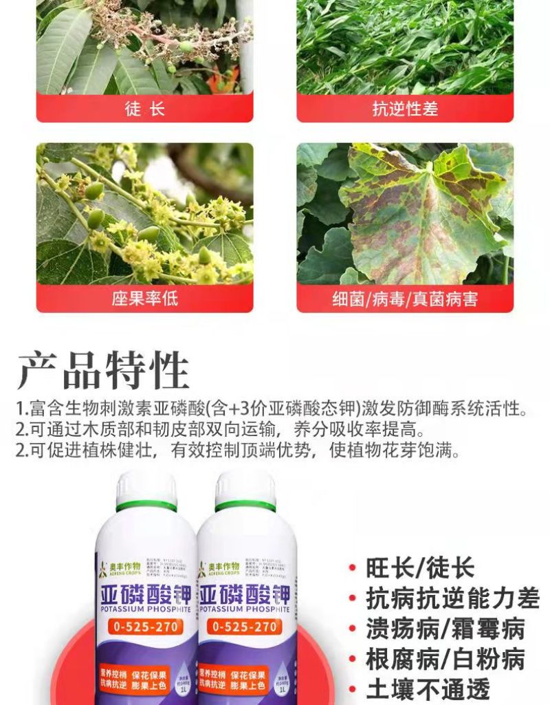 亚磷酸钾柑橘控稍控旺膨大增产抗病果树蔬菜保花保果水溶叶面