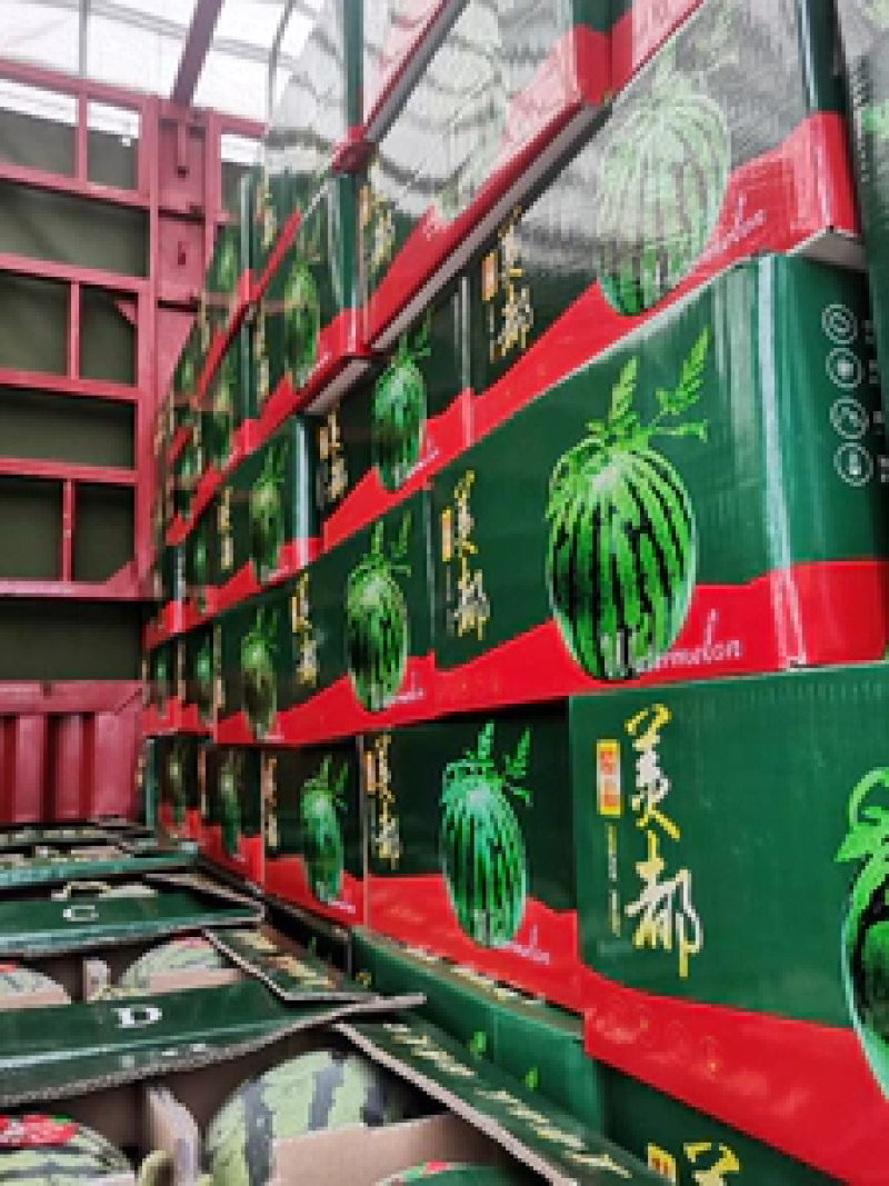【美都】美都西瓜口感甜汁水多包甜包鲜全国供应