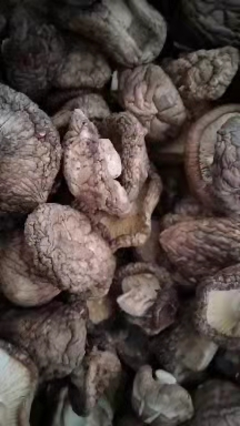 各种规格干香菇，一手货源，量大从优，欢迎联系