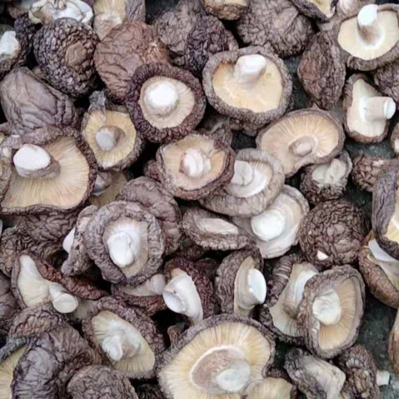 各种规格干香菇，一手货源，量大从优，欢迎联系