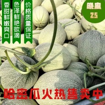 晓蜜25哈密瓜大量有货，质量保证，糖度高，欢迎来采购