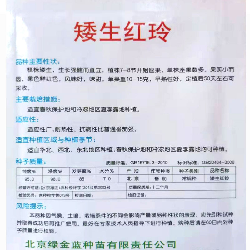 盆栽番茄小西红柿种子阳台室内圣女果蔬菜种孑水果矮化樱桃番