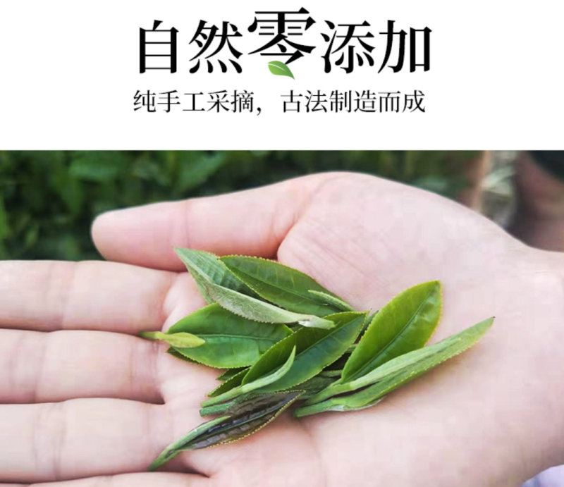 大观华茯高档礼盒一茗富硒茶金花菌茯茶砖800g