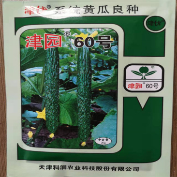 黄瓜种子津优津园60号黄瓜种子早春大棚早熟深绿刺瘤明显