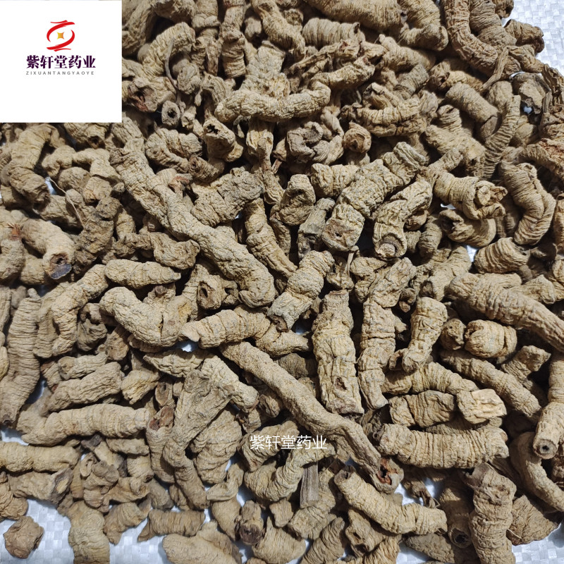巴戟肉巴戟天全抽芯规格齐全产地广东紫轩堂药业