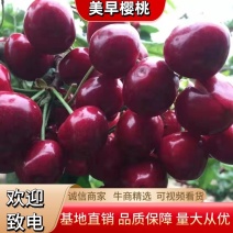 美早樱桃大樱桃大量上市量大优惠欢迎进店咨询采购