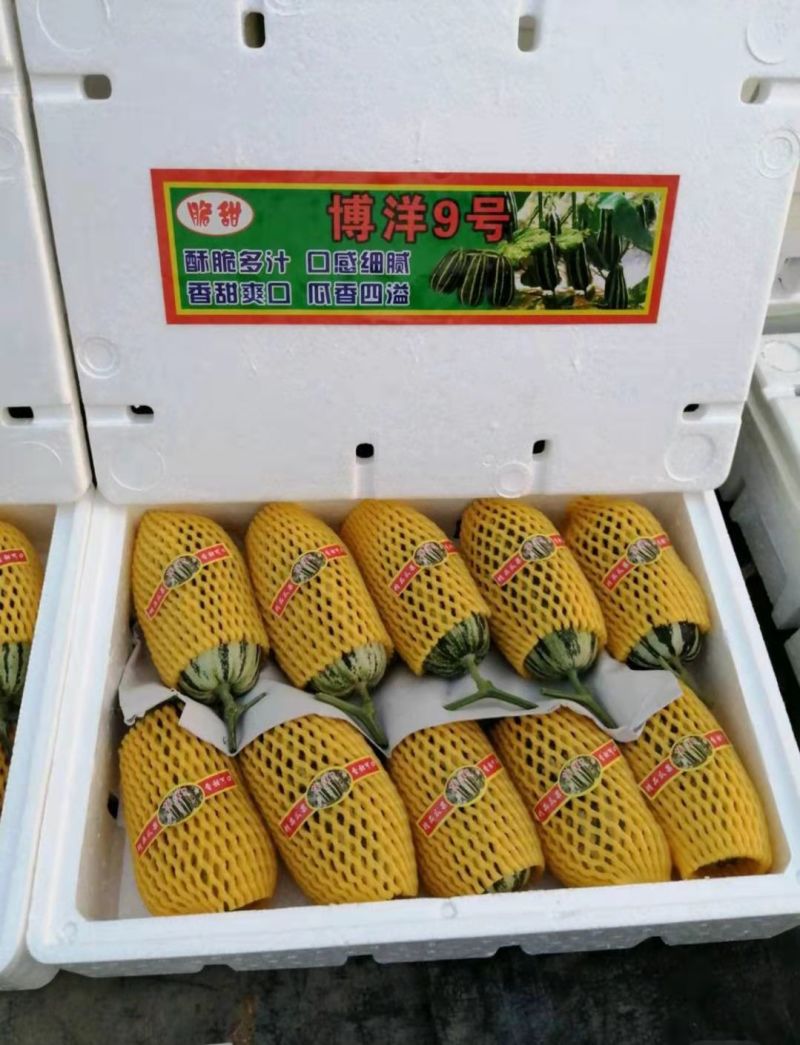 寿光产地羊角蜜代发全国，对接商超市场电商团购