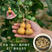 迷你小微型手捻葫芦种子美国超小文玩葫芦种籽春夏季阳台盆栽