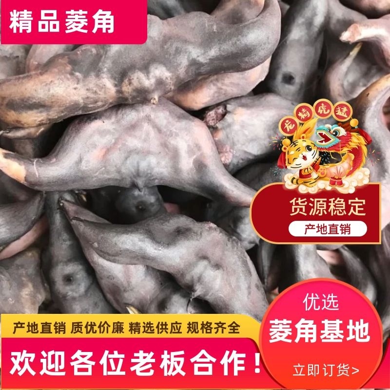 药食同源粉糯凌角菱角，基地新鲜采摘，保质保量发货