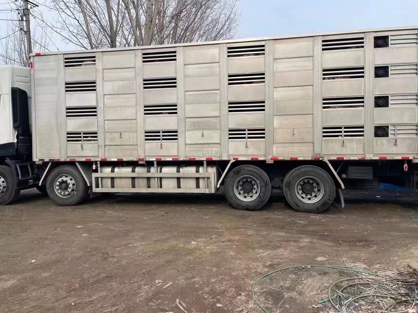外三元仔猪运输车