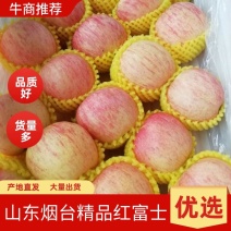 山东烟台红富士特价供应，赔钱卖，纸袋，精品，精装5斤，