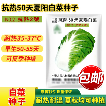 抗热50天夏阳白菜种子进口抗热白菜种子抗热2号早熟耐高温
