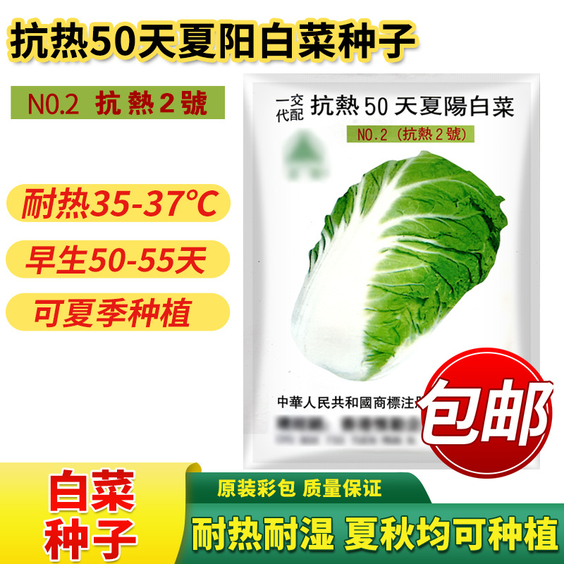 抗热50天夏阳白菜种子进口抗热白菜种子抗热2号早熟耐高温