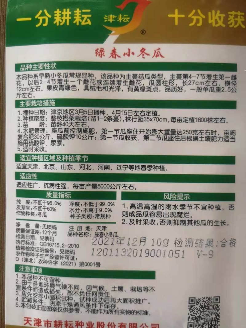 绿春小冬瓜种子小节瓜种子绿皮早熟高产春季四季杂交一代