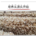 杜鹃特价包邮东北竹耳1500g食用菌干货营养丰富精选本
