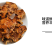 杜鹃山东榆耳2500g营养丰富味道鲜美精选优质干菌灵芝耳