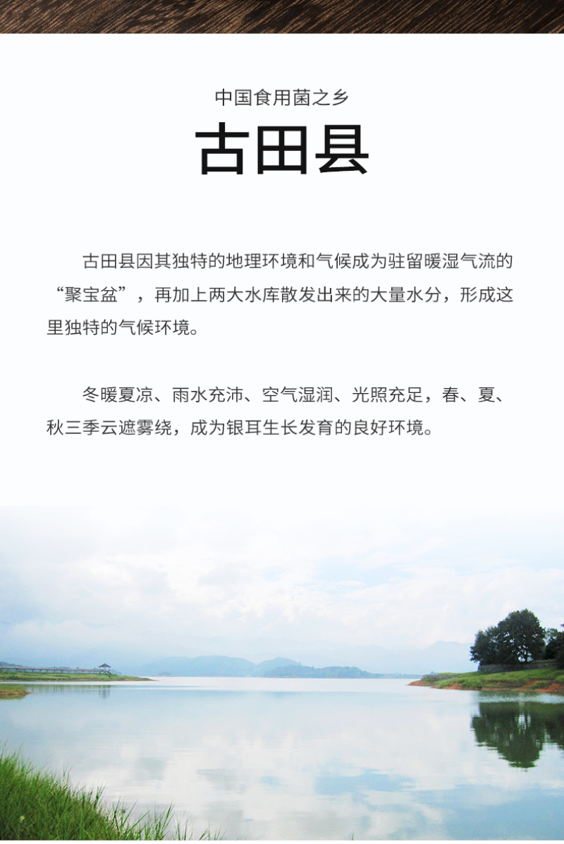 杜鹃东北黑木耳3kg农家精选口感细嫩无根椴木秋木耳碗耳