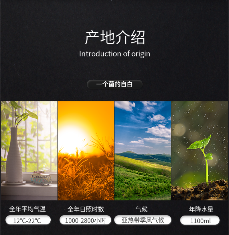 杜鹃云南黑虎掌1500g肉厚味道鲜美煲汤优质虎掌菌肉齿