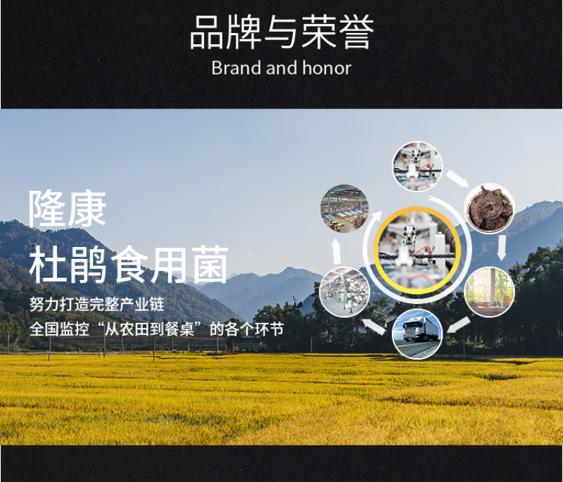 杜鹃云南黑虎掌1500g肉厚味道鲜美煲汤优质虎掌菌肉齿