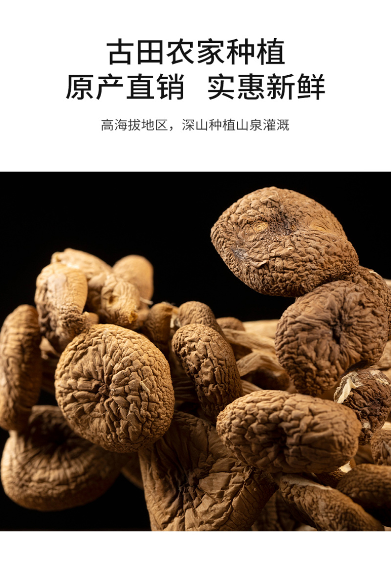 杜鹃福建茶树菇不开伞2kg菌盖细嫩柄脆新货杨树菇茶薪菇