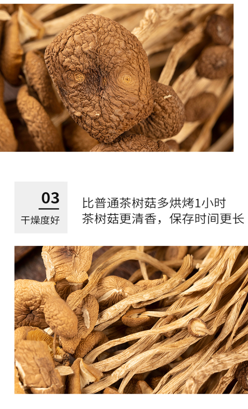 杜鹃福建茶树菇不开伞2kg菌盖细嫩柄脆新货杨树菇茶薪菇