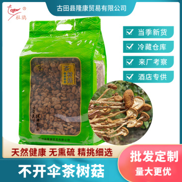 杜鹃福建茶树菇不开伞2kg菌盖细嫩柄脆新货杨树菇茶薪菇