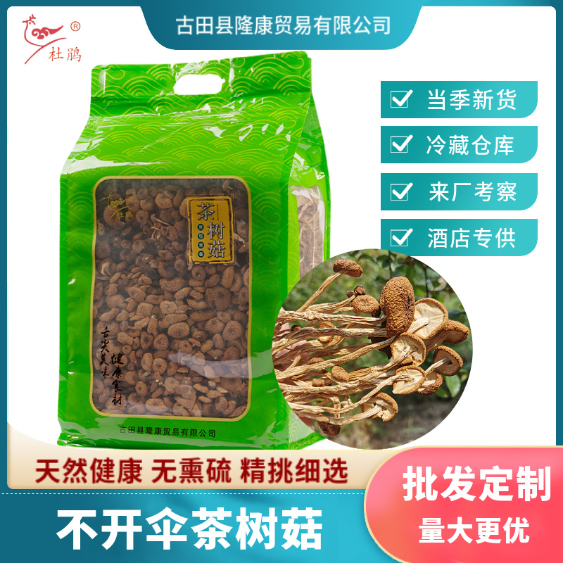 杜鹃福建茶树菇不开伞2kg菌盖细嫩柄脆新货杨树菇茶薪菇