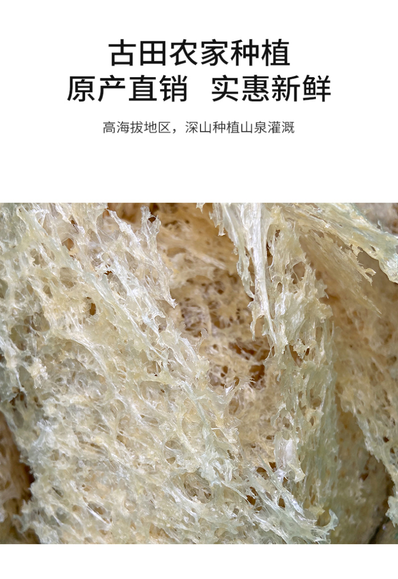 杜鹃本草破壁银耳750g软糯清甜胶质浓臻燕耳有机无根雪耳