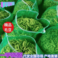 精品👉万亩毛豆👈电商超市货源充足，保质保量，物流全国