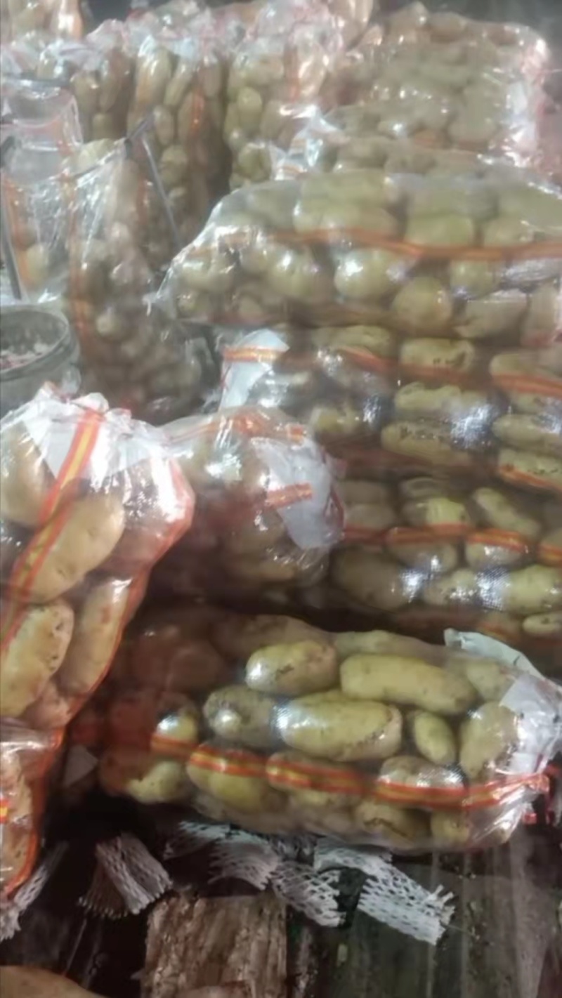 山东土豆V7土豆大量有货品质保证产地直发价格便宜
