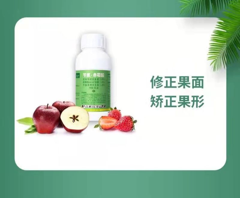 果启苄氨赤霉酸果树苹果柑橘蔬菜生长调节剂膨大保花保果