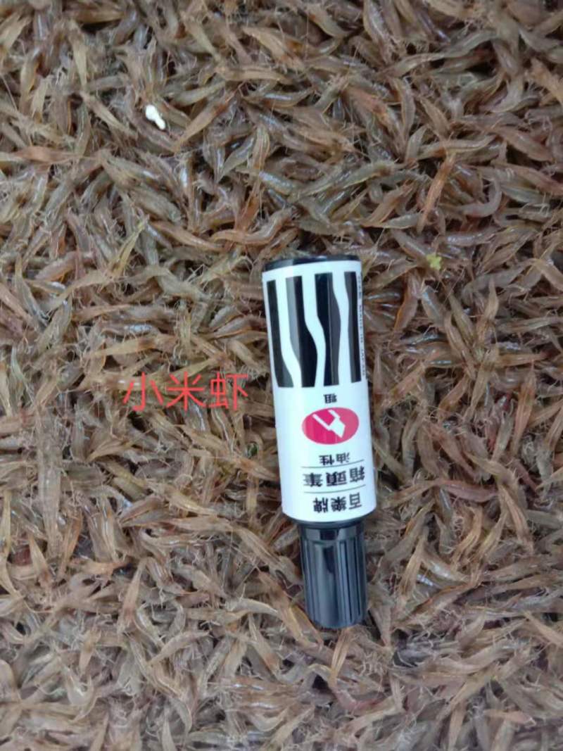 新鲜小河虾一手货源大量上市品质保证诚信经营对接批发商