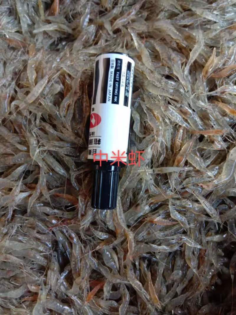 新鲜小河虾一手货源大量上市品质保证诚信经营对接批发商
