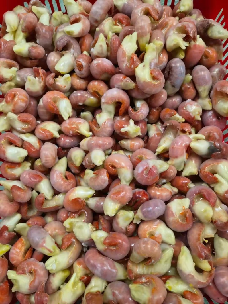 液氮锁鲜品质保证龙虾尾整肢虾大量有售