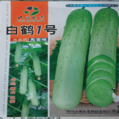 黄瓜种子白鹤1号新一代高品质无苦味早熟品种