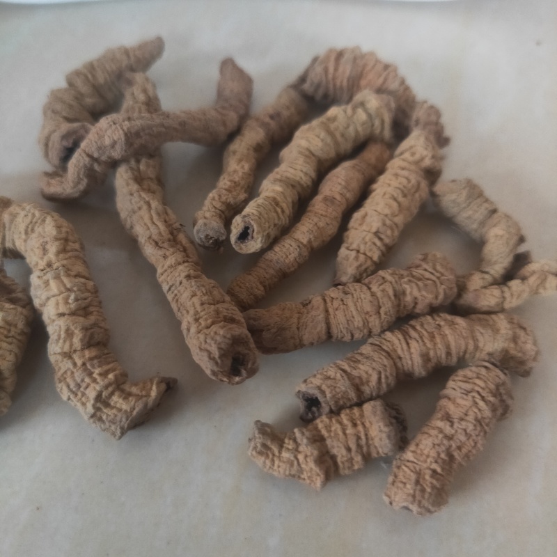 巴戟天巴戟肉干净过筛产地直销保质保量