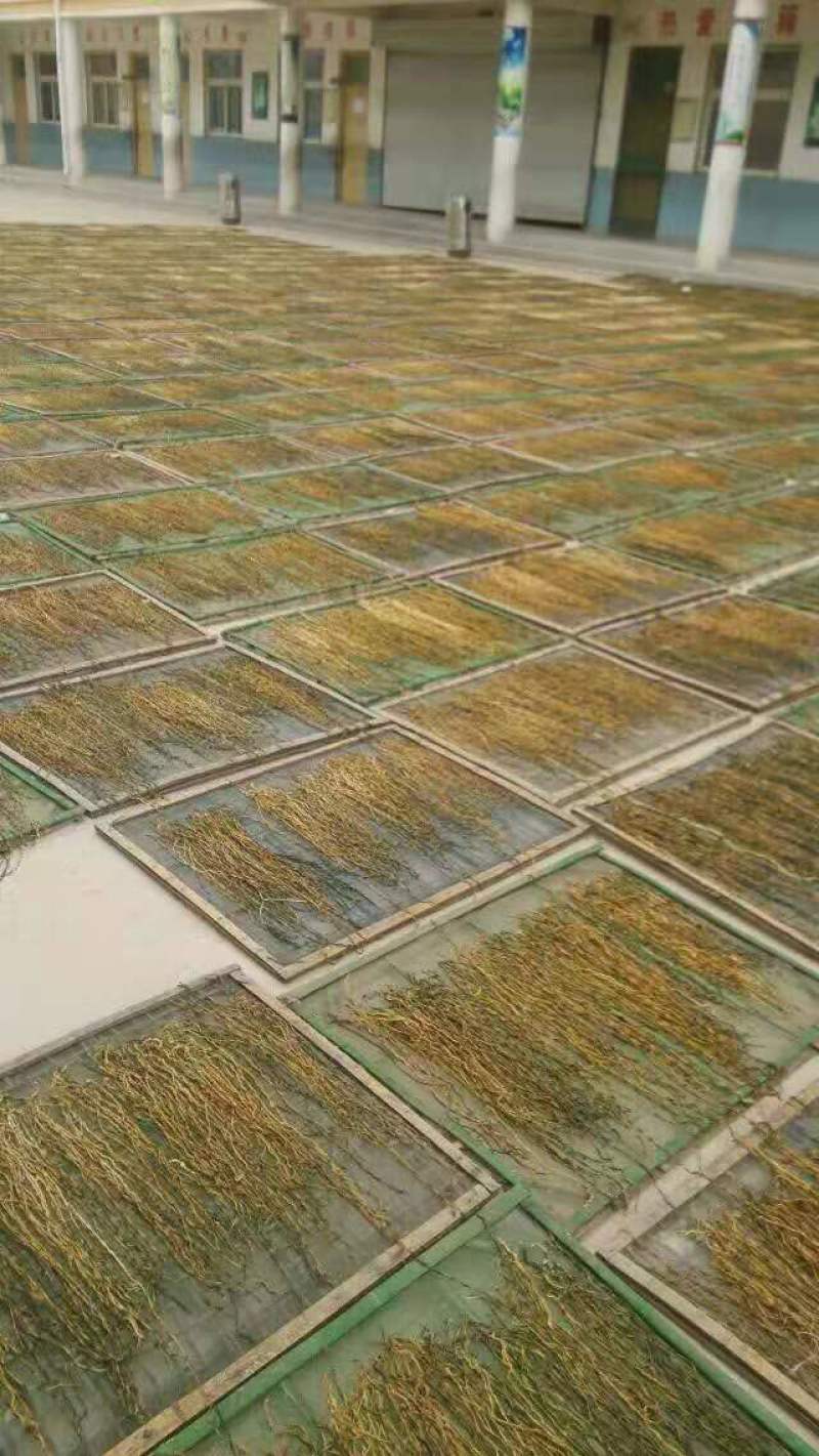 【宜品】豆角干脱水蔬菜干菜豇豆干农家自制土特产