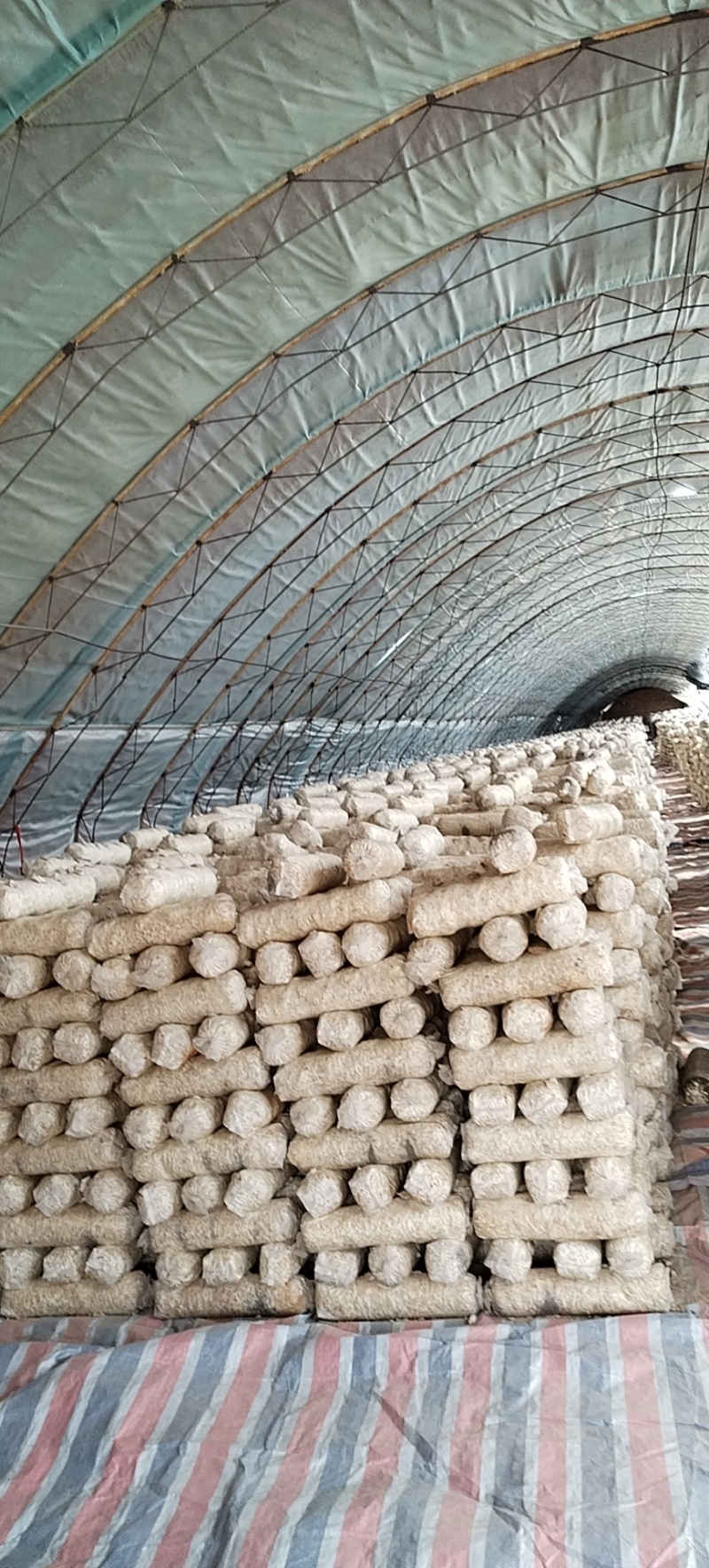 香菇菌棒基地直供一手货源大量上市品质保证诚信经营